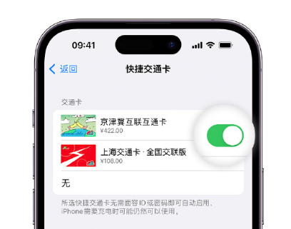 长春apple维修点分享iPhone上更换Apple Pay快捷交通卡手绘卡面 