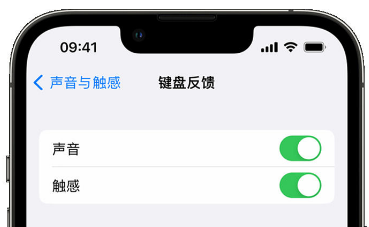 长春苹果手机维修分享iPhone 14触感键盘使用方法 