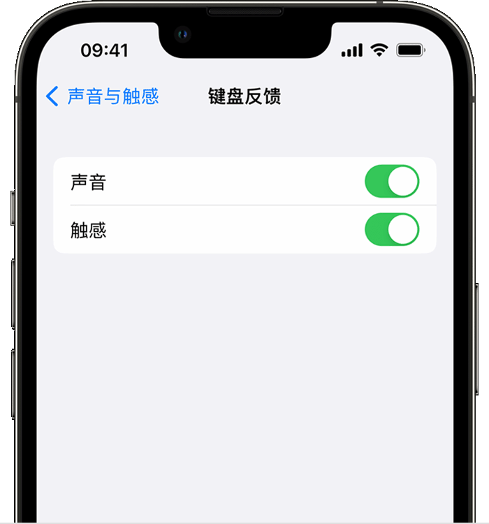 长春苹果14维修店分享如何在 iPhone 14 机型中使用触感键盘 