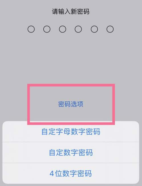 长春苹果14维修分享iPhone 14plus设置密码的方法 