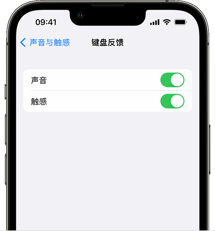 长春苹果14维修分享iPhone 14 系列机型如何开启键盘声音或触感反馈 