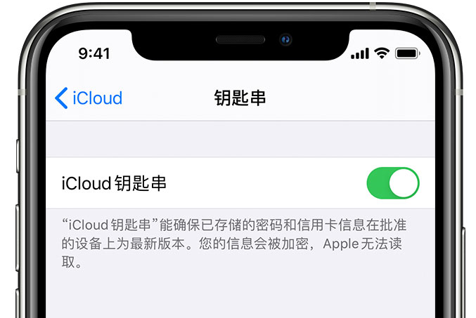 长春苹果手机维修分享在 iPhone 上开启 iCloud 钥匙串之后会储存哪些信息 