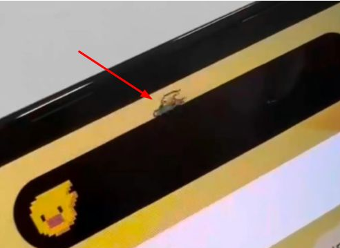 长春苹果14维修分享iPhone 14 Pro Max灵动岛怎么养宠物 