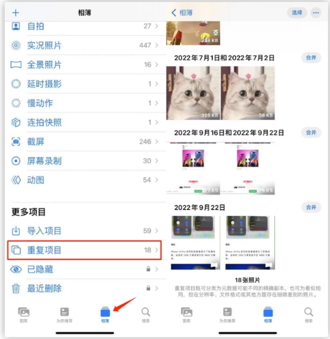 长春苹果手机维修分享iOS 16 中相册重复项目功能使用方法 