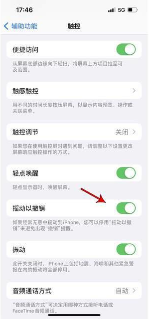 长春苹果手机维修分享iPhone手机如何设置摇一摇删除文字 