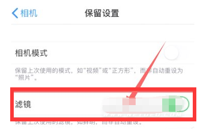 长春苹果13维修分享iPhone13拍照有绿点是怎么回事 