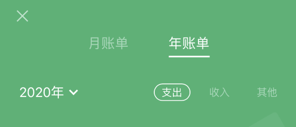 长春苹果手机维修分享如何在 iPhone 上查看支付宝和微信年支出账单 