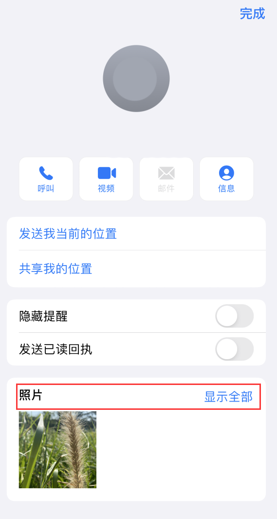 长春苹果手机维修分享如何快速查找 iMessage 信息中的图片等附件 